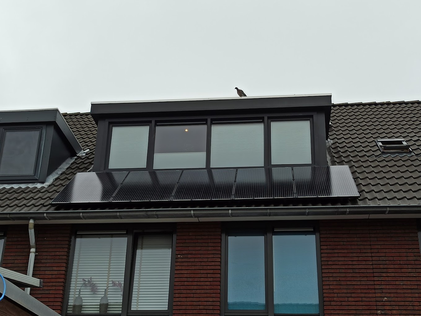 nieuwe dakkapel kopen
